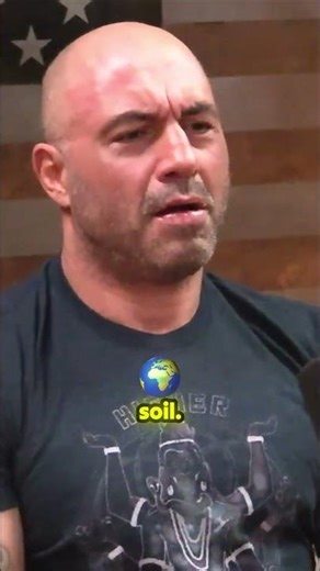 The ground beneath your feet is more alive than you think! 🍄