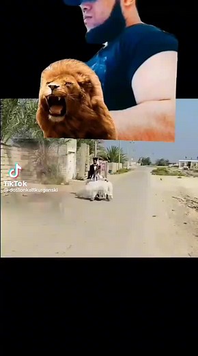 poyga02 (@poyga02)’s videos with original sound - poyga02