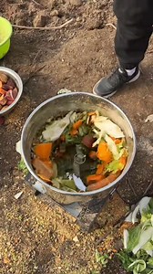 Check out this incredible automatic vegetable shredder! 🥬🥕 From farm waste to perfect animal feed in seconds. This smart machine is saving time and making farm life so much easier. Who else needs one of these? 🙌 #SmartFarming #AgricultureGadgets #FarmLife #Innovation #ModernFarming #VegetableCutter #AgricultureMachines #ViralVideo #SustainableFarming #GardenHacks #Homesteading #TechInAgri #FarmTools #Efficiency #FoodWasteSolution | Anita Unecha Gujarat