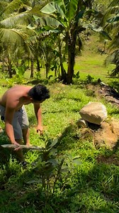 3.2K views · 129 reactions | DIY Swimming Pool using Banana Stem + Tarpauline #reelsvideoシ #reelsviralfbpage #reels #swimmingpool #diy #doityourown | Richard Montejo Sabal | Facebook