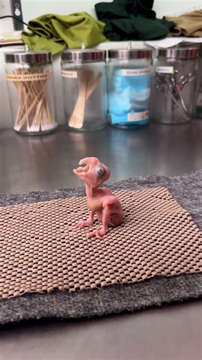 946K views · 10K reactions | Like Pokémon evolutions  | Furry Tails | Facebook