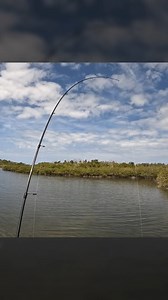 🛑 STOP BREAKING YOUR RODS!! There are 2 main reasons why your rods break. 1️⃣ High sticking when you're hooked into a fish or snagged on something. Make sure to keep your rod at a 45-degree angle or lower. 2️⃣ Anything impacting your rod, such as a lure hooked or jighead hooked onto the rod, or any little nick or crack, will compromise the rod. 🤣 Ceiling fans and tail gates are also leading causes of broken rods! | Salt Strong