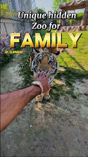 Hidden unique zoo in Islamabad 😳 Multi zoo Entry ticket for young 290/- Entry ticket for kids 190/- (Location:multi Zoo multi garden B.17 islamabad📍) #fyp #foryou #minivlog #explorefood #zoo #foodlover #islamabad #rawalpindi #b17 #vlog #birds #loin