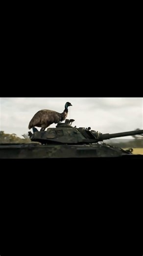 The Emu War Caught on Video #history