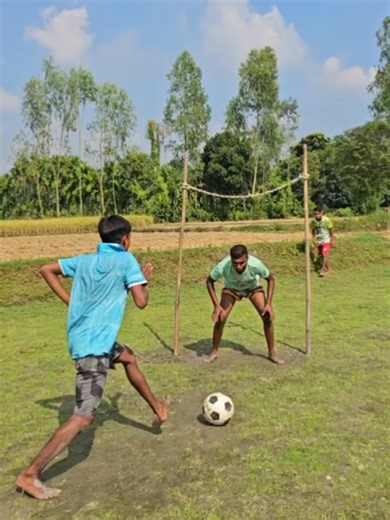 Discover the Magic of AI with Balli Bot Mogis