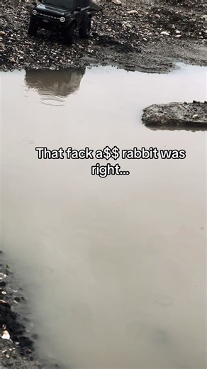 Funny Rabbit Memes That Make You Laugh