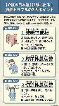 💡 尿失禁（にょうしっきん）と 便秘（べんぴ）の 種類（しゅるい）を わかりやすく 解説（かいせつ）！ 🧻✨