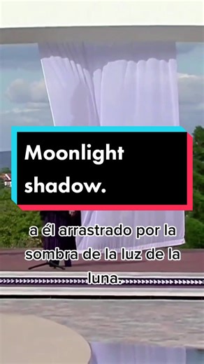 Moonlight Shadow: El místico cuento de amor