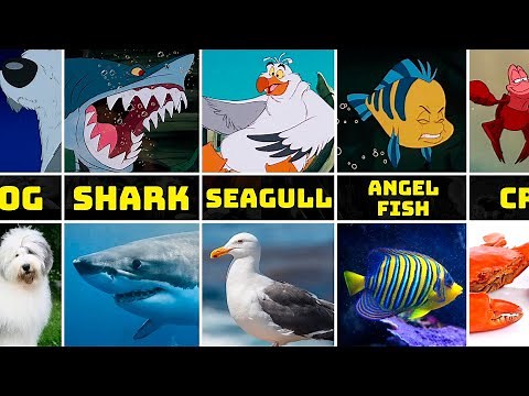 The Little Mermaid Characters in Real Life