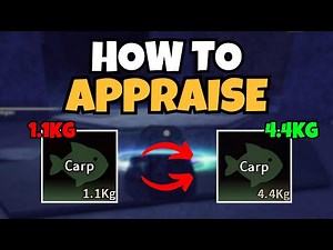 How To Appraise in Fisch (FULL GUIDE) | Fisch Appraisal Tutorial