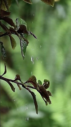 Deep Ambient Calm — Pure Relaxation Soundscape #shprts #sleepmusic #meditationmusic #music