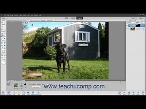 Photoshop Elements 2021 Tutorial The Smart Brush Tools Adobe Training