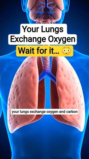 How Lungs Work | Oxygen Exchange Explained Fast | #biology