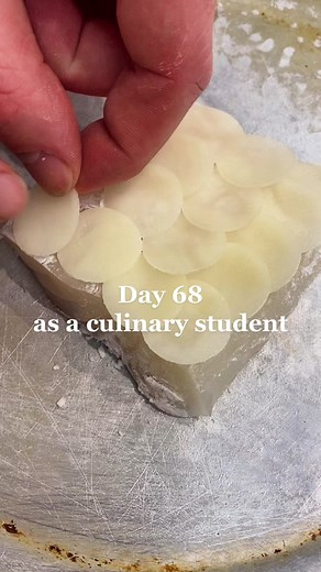 Day sixty-eight of culinary school. Let’s practice plating hot seafood with this potato crusted halibut! #culinaryschool #culinarystudent #cookwithme #chefintraining #plating #potato #halibut #aioli #fennel #tomato #chefstable #vivaldi #fourseasons #seafood