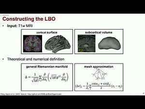 OHBM 2025 | Educational Course | Brain Modes, Components, and Gradients | Part 1
