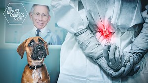 37K views · 1.7K reactions | The NIH admits it funded...