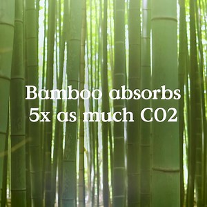 5.5K views · 2.3K reactions | Make 2021 the year for a healthier, more sustainable home--starting today! Enjoy this FREE earth-friendly gift set with your first Grove order. (Includes tree-free TP, Mrs. Meyer's soaps, and more!) 珞grove.co/seedlingset | Grove Collaborative | Facebook