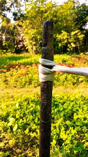 Hitachi Knot! #shorts