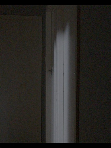 Exploring the Haunting Realms of Analog Horror