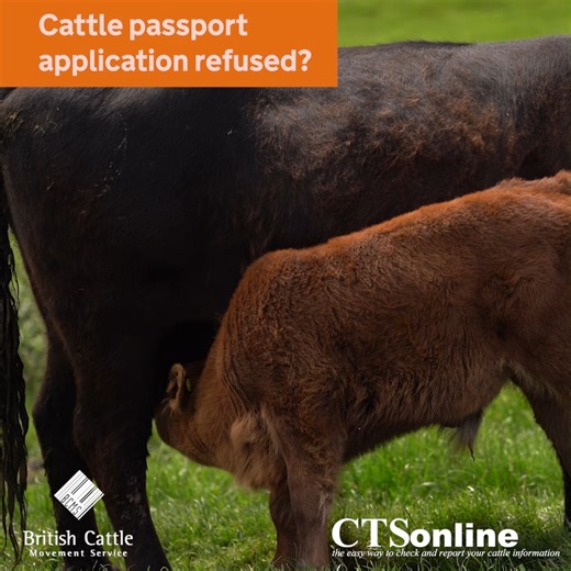 You can appeal in writing to #BCMS if your cattle passport application has been refused. You’ll need to provide evidence that exceptional circumstances have stopped you making the application on time. You may also have the option to DNA test. Read more: https://www.gov.uk/guidance/cattle-passports-what-to-do-if-problems-arise#late-applications-and-refused-passports | Rural Payments Agency | Facebook