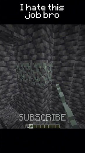 Minecraft Job Moment