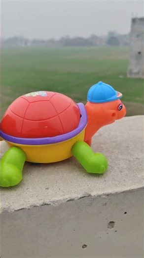 2 RC Snake 🐍 And 1 Rebbit 😀