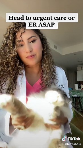 Cat Bite Wound Treatment: Home Remedies & Care Tips