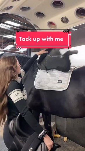 Tack up W/ me ✨🖤 #dressage #horse #stallion #horserider #equestrian