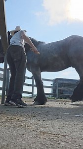 63K views · 744 reactions | Patience is a virtue! Meet our new...