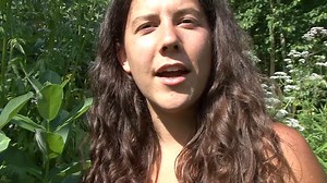 Watch The Farmer Girl Online | Vimeo On Demand