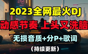 【全网最火DJ-无损音质】与心跳共频 快乐自己主宰 车载DJ热歌 让旅途和心情一样舒畅快乐 动感节奏 上头又洗脑_哔哩哔哩_bilibili