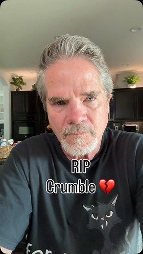 100K views · 7.4K reactions | I’m so sorry to inform everyone that we just lost Crumble. My heart is shattered for a tiny kitten I never met. .. #davidloop65 #cat #catlife #catlover #kitten | David Loop | Facebook