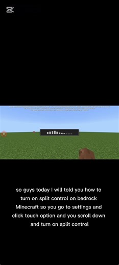 how to turn on split control in Minecraft bedrock edition