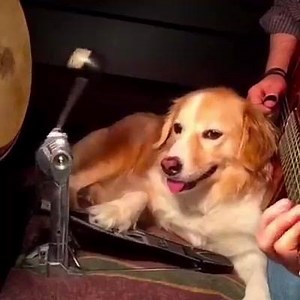 35K views · 371 reactions | I've gathered together some of the...