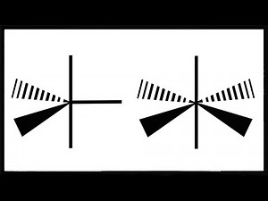 Molecular Geometries from Trigonal Bipyramidal and Octahedral Electron Geometries