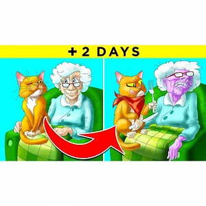 ❓ Fact Show #6 ❓ - If You Die Alone, Your Cat Will Eat You 😼 When it comes to the internet, random facts are hardly few and far between – but how do you sort the trash from the good stuff? Thankfully you don’t have to, that’s my job. Coming up are some more trivia tit-bits that’ll amaze you and your friends! | Be Amazed