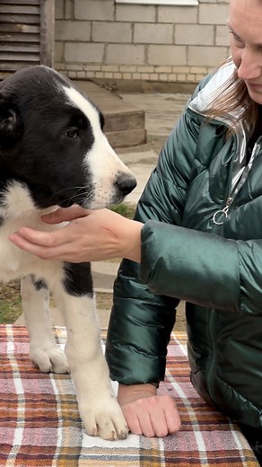 3-MONTH OLD SUPER MODEL GIRL ALABAI KAIRAT'S DAUGHTER MARSHAL'S GRANDDAUGHTER | Эдуард Горохов