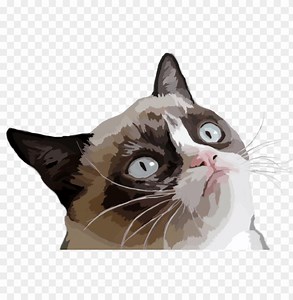 The Best 10 Transparent Background Cat Meme Png