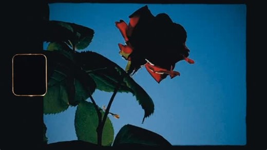 Evan Roderick on Instagram: "Early Years • July 8th • Pre-save link in bio!"