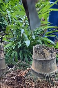 18K views | New amazing technology | Video clip | Facebook