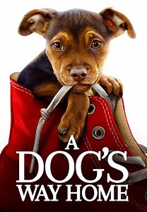 A Dog's Way Home - Movies on Google Play