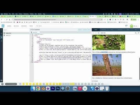 Web Development II CodeHS 5.5.5 Captions