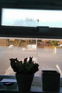 A quick before and after photo.... The unit used to solve the condensation was the energy efficient whole house ventilation unit, designed to control condensation within homes with a loft space. For free advice comment below or visit http://bit.ly/2BSmkpP | EnviroVent