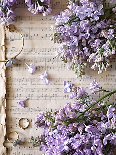 Fiddlesticks Gameplay Highlights in League of Legends