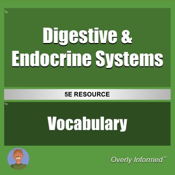 Digestive & Endocrine Systems Vocabulary & Definition Practice Worksheet