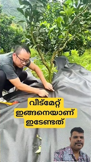 വീട്മേറ്റ് ഇങ്ങനെഇടണം #weedmat #agriculture #garden #farming #cooking #football #food #funny #shorts