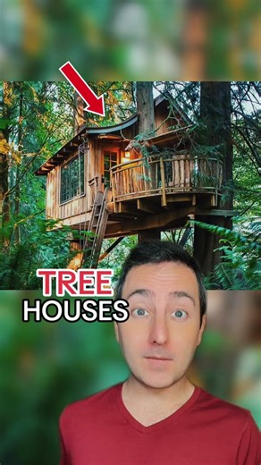Amazing Tree Houses… 🌳 #treehouse #treehouses | treehouse