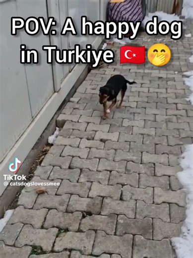 Discovering Turkish Culture Through Dance and Music