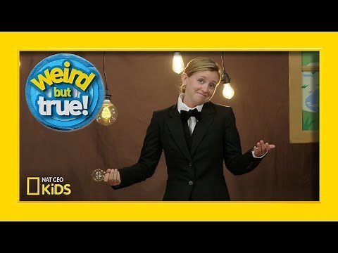 Best Bloopers According to Kirby from “Weird But True!” | Weirdest, Bestest, Truest