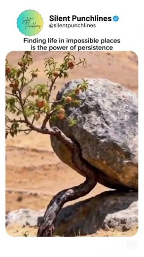 The power of persistence ,#persistence #nature #impossible